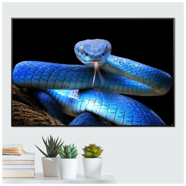 Красивые змеи