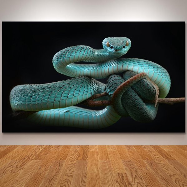 Змея арт Минимализм