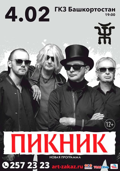 Группа пикник плакат