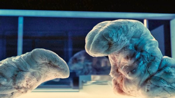 Химера 2009 Постер