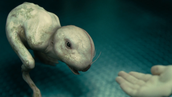 Химера 2009 Постер