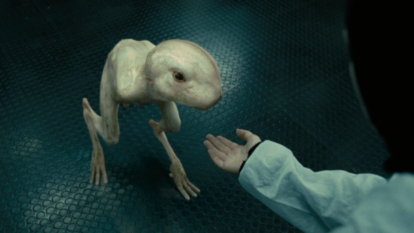 Химера сериал 2022 актёры