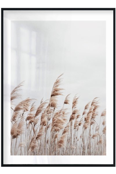 Постеры в бежевых тонах для интерьера