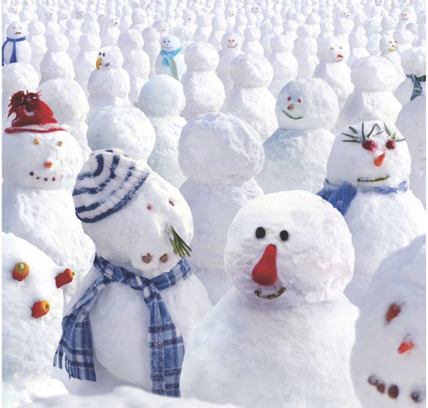 DVD. Снеговик