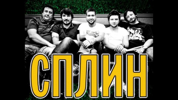 Группа Сплин обложки