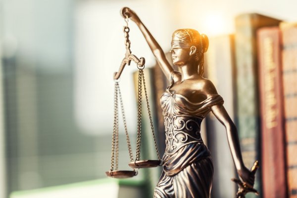 Фемида на фоне книг