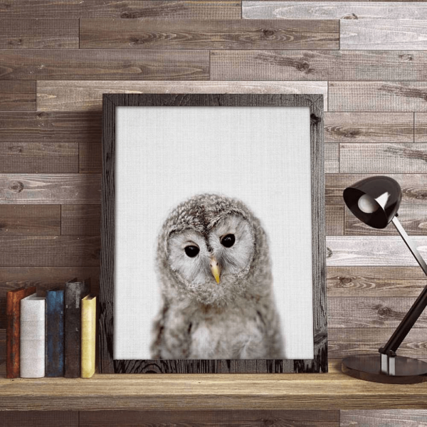 Постер Сова