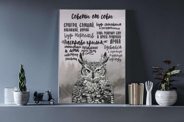 Постер Сова