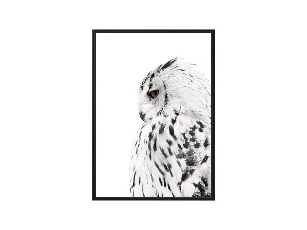 Стильные постеры с совами