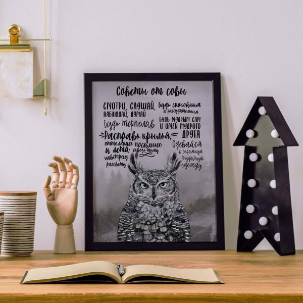Плакаты с совятами