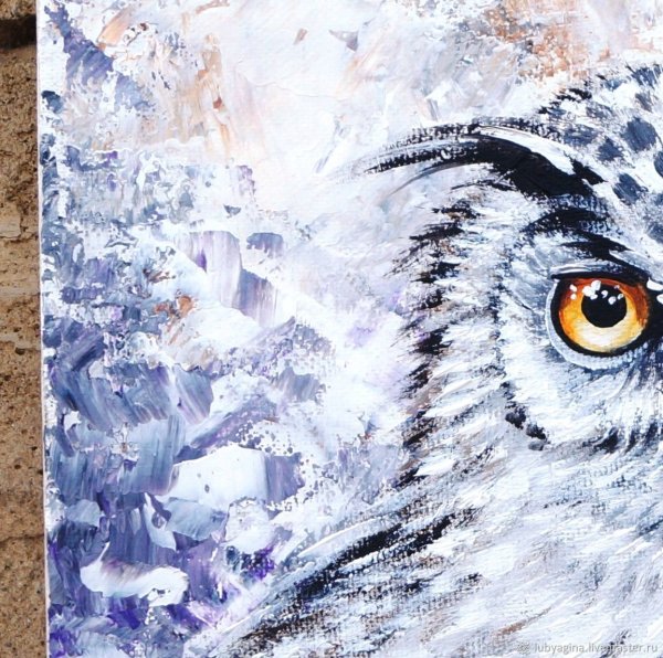 Сова в очках рисунок