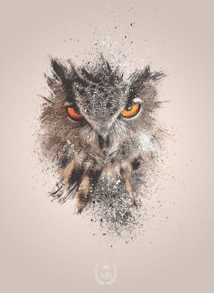 Постер Сова