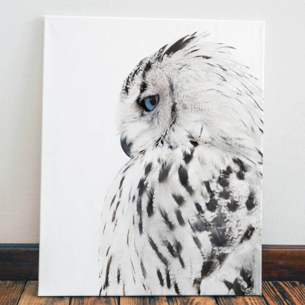 Забавные постеры для интерьера