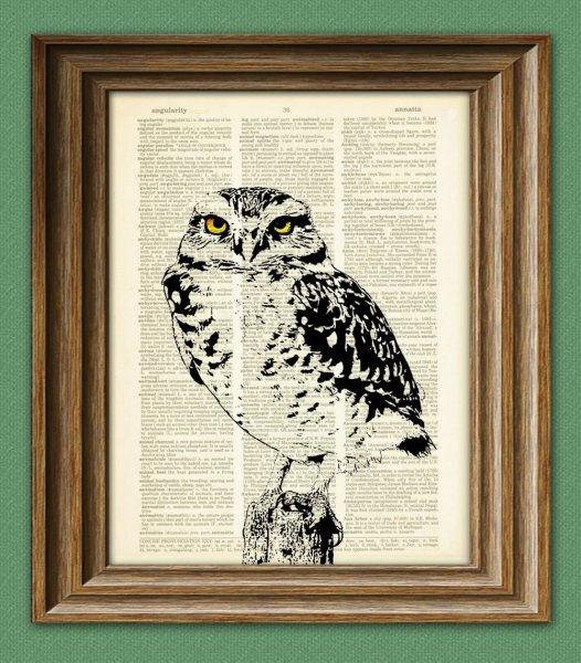 Сова с плакатом