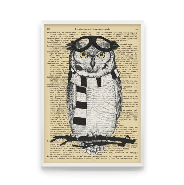 Постер Сова