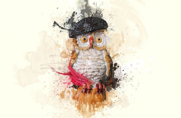 Постер Сова