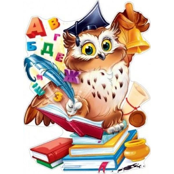 Носки с совой из Гарри Поттера