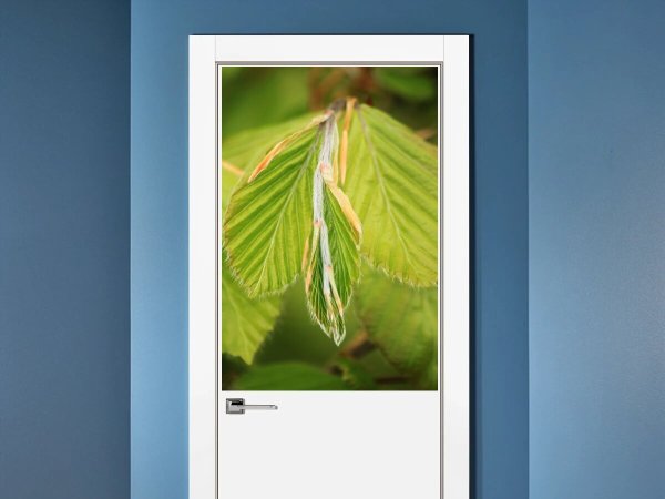 Игра престолов. Постер-бук