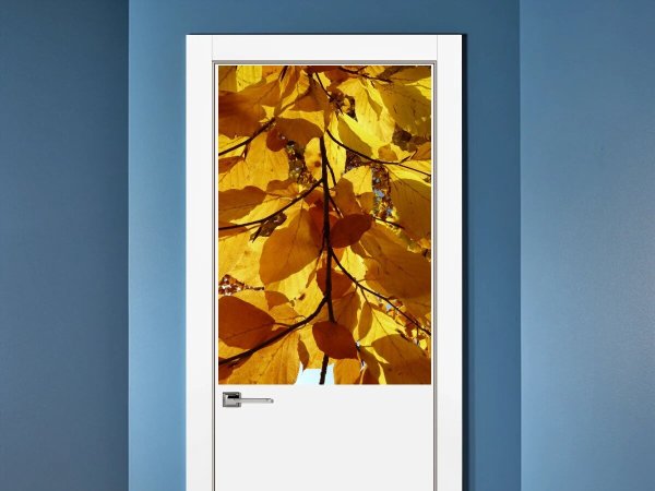 Бука мое любимое чудовище мультфильм