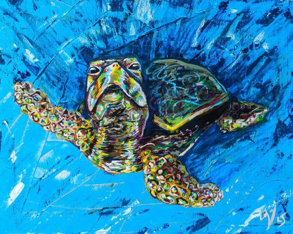 Морская черепаха Графика