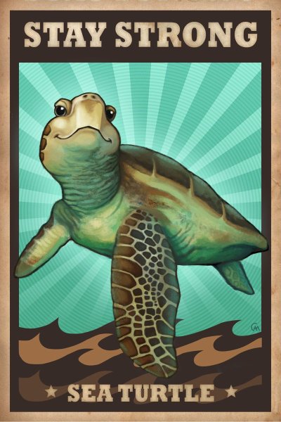 Черепаха рисунок