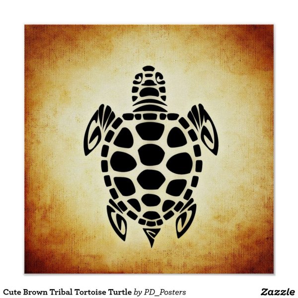 Tortoise Turtle разница