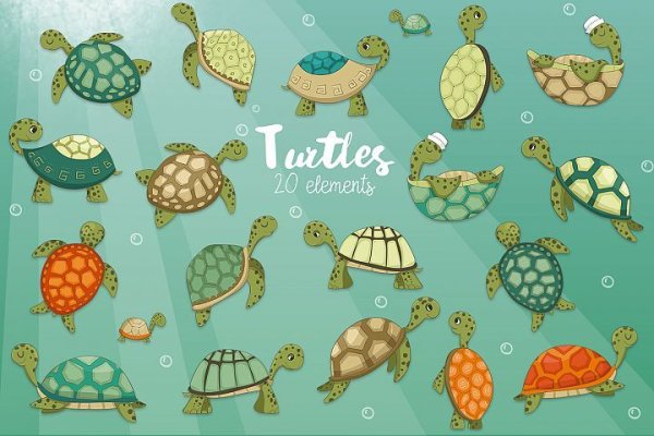 Картина черепаха