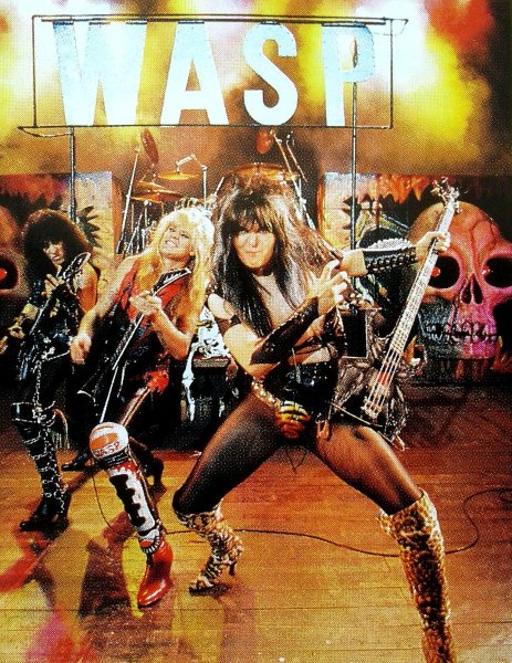 Плакат w.a.s.p.a