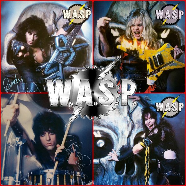 Wasp 1984 album Cover