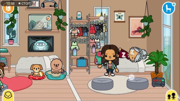 Торт тока бока