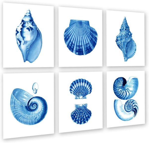 Раковины морские стилизованные