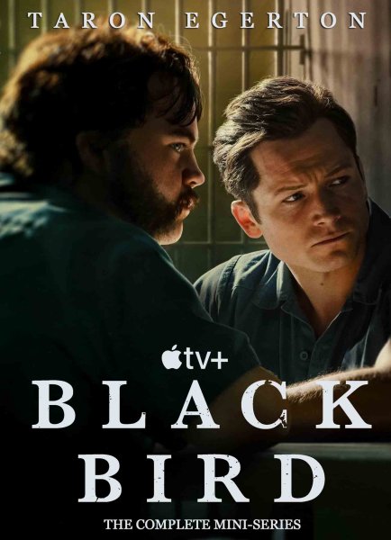 Черная птица 2022