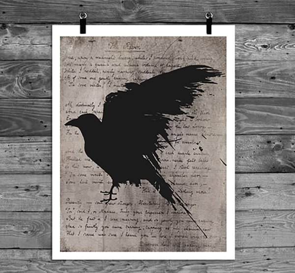 Постер черно белое птиц