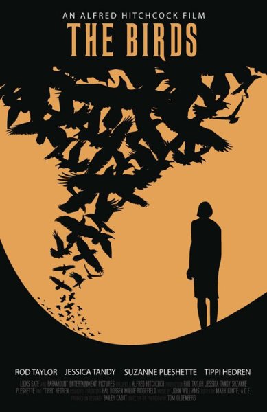 Постер черно белое птиц