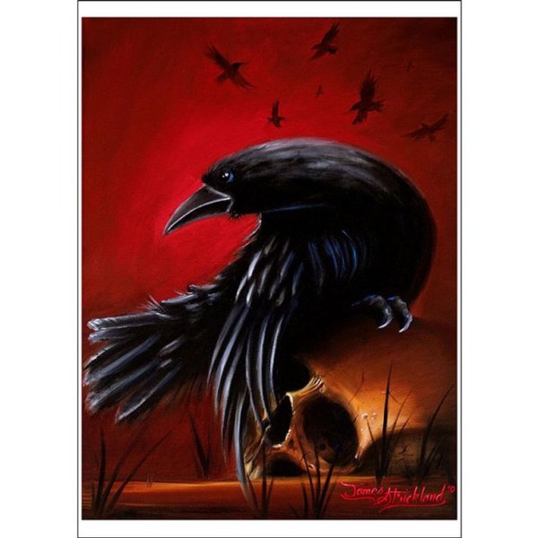 Черная Колибри