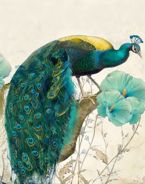 Павлин арт нуво