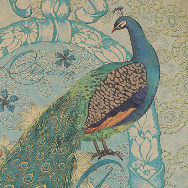 Постер Павлин