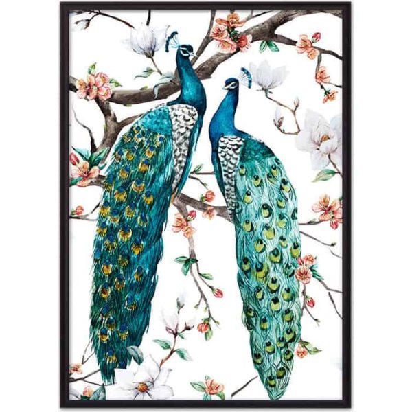 Павлин печать на холсте