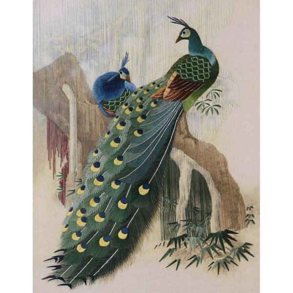 Павлин Модерн