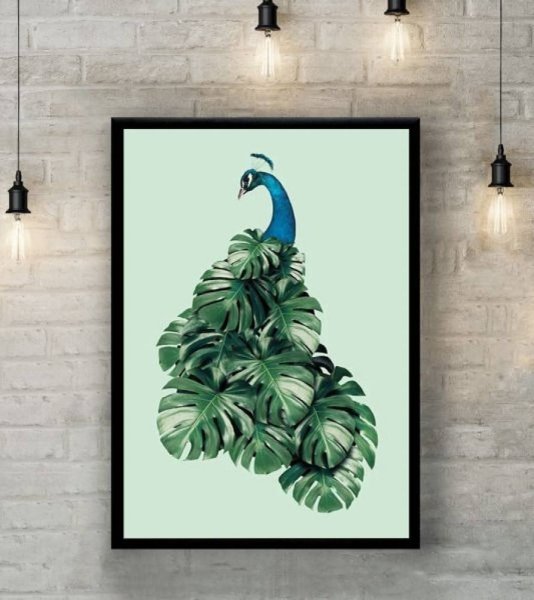 Картина павлинье перо