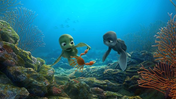 Черепашонок Шевели ластами