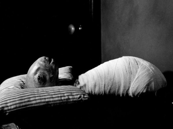 Дэвид Линч голова ластик