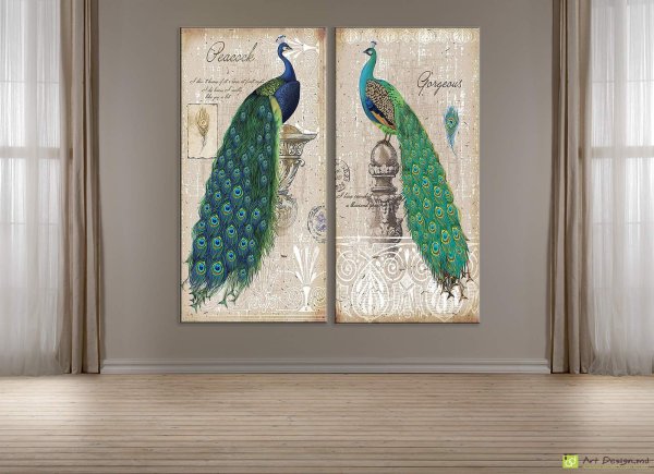 Постер на холсте Павлин