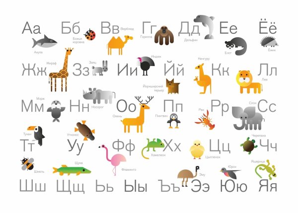 Алфавит с животными