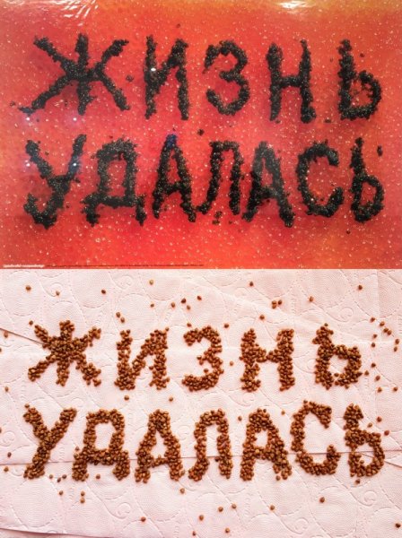 Андрей Николаевич Логвин жизнь удалась. 1997