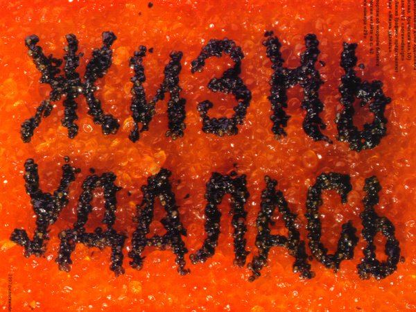 Андрей Николаевич Логвин жизнь удалась