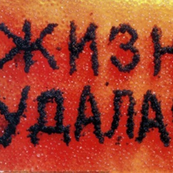 Картина жизнь удалась Логвин