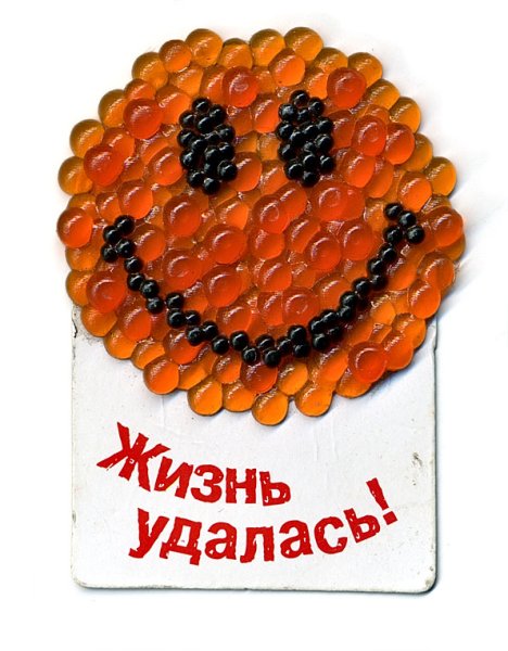 Надпись жизнь удалась