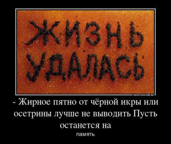 Жизнь удалась прикол