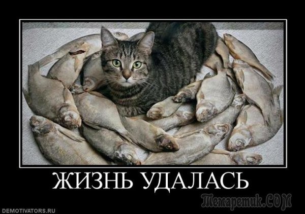 Вышивка жизнь удалась